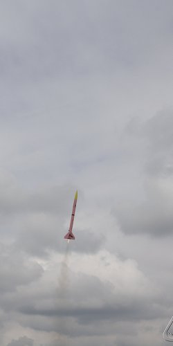 2013 Svojek Mirek Topinka